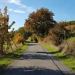Apartment 'fruehauf' Im Suedharz Ot *
