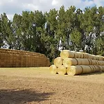 Apartment 'fruehauf' Im Suedharz Ot *