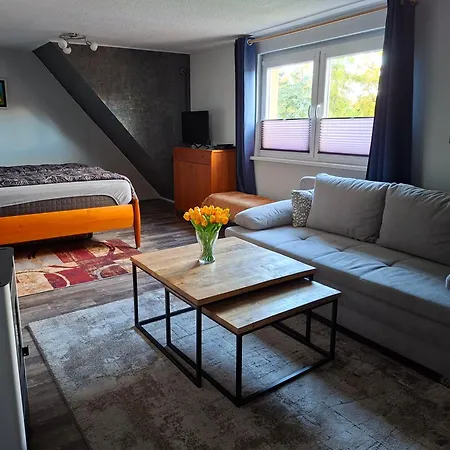 Apartament 'fruehauf' Im Suedharz Ot *