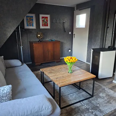 'fruehauf' Im Suedharz Ot Apartment