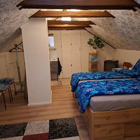 'fruehauf' Im Suedharz Ot Apartmán
