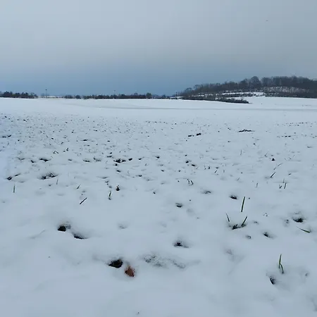 'fruehauf' Im Suedharz Ot * Uftrungen