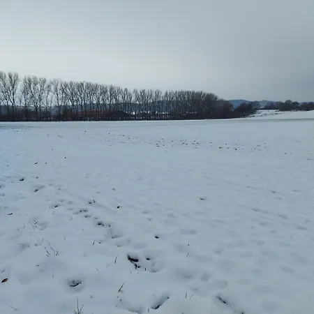 'fruehauf' Im Suedharz Ot * Uftrungen