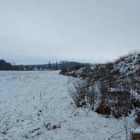 'fruehauf' Im Suedharz Ot Apartment Uftrungen