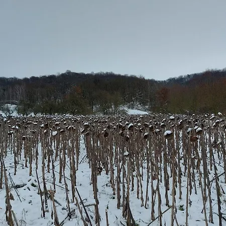Apartament 'fruehauf' Im Suedharz Ot *