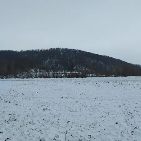 'fruehauf' Im Suedharz Ot