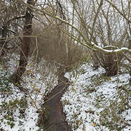 'fruehauf' Im Suedharz Ot Uftrungen