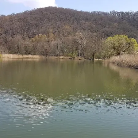 'fruehauf' Im Suedharz Ot