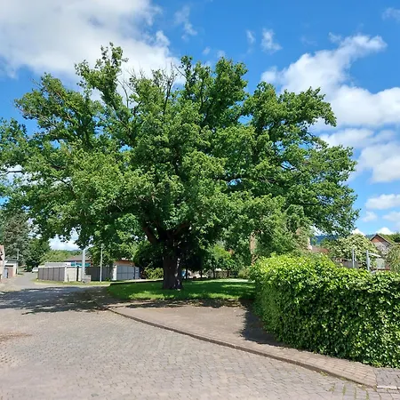 Apartament 'fruehauf' Im Suedharz Ot Uftrungen