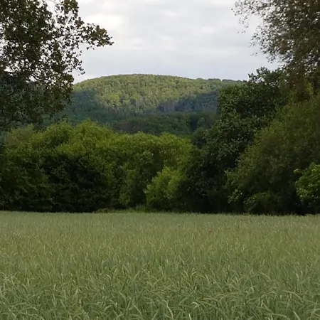 Apartament 'fruehauf' Im Suedharz Ot Uftrungen