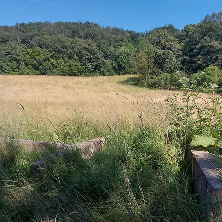 Apartament 'fruehauf' Im Suedharz Ot