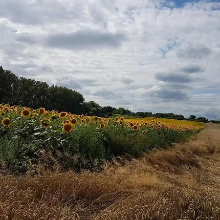'fruehauf' Im Suedharz Ot * Uftrungen