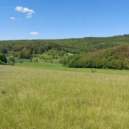 'fruehauf' Im Suedharz Ot *