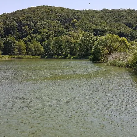 Apartament 'fruehauf' Im Suedharz Ot