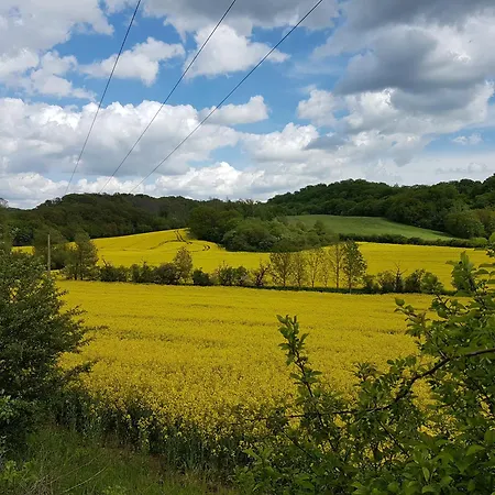 Apartment 'fruehauf' Im Suedharz Ot *