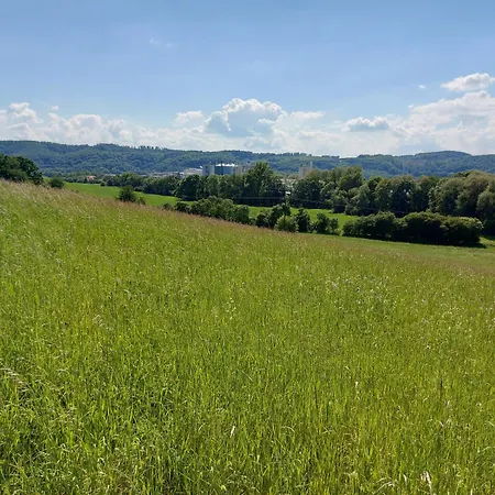 'fruehauf' Im Suedharz Ot Uftrungen