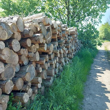 'fruehauf' Im Suedharz Ot * Uftrungen