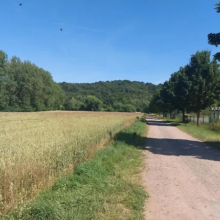 'fruehauf' Im Suedharz Ot Apartment Uftrungen