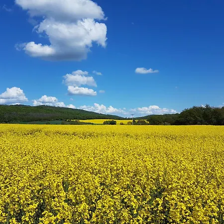 'fruehauf' Im Suedharz Ot Apartament *