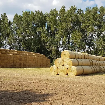 Apartment 'fruehauf' Im Suedharz Ot *