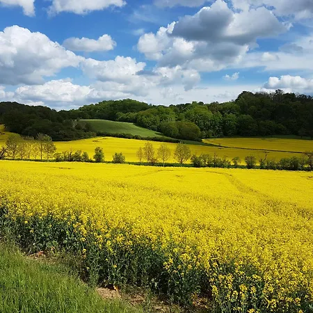 'fruehauf' Im Suedharz Ot Uftrungen
