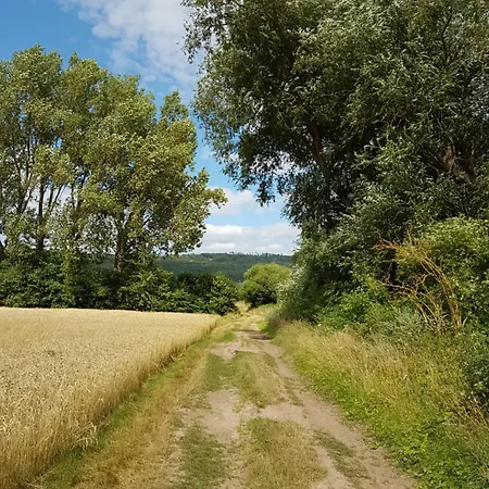 'fruehauf' Im Suedharz Ot Apartament