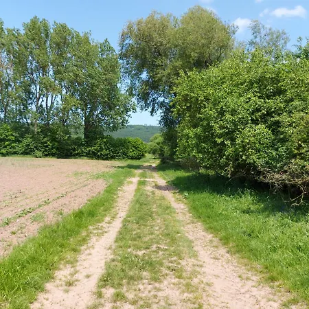 Apartament 'fruehauf' Im Suedharz Ot *