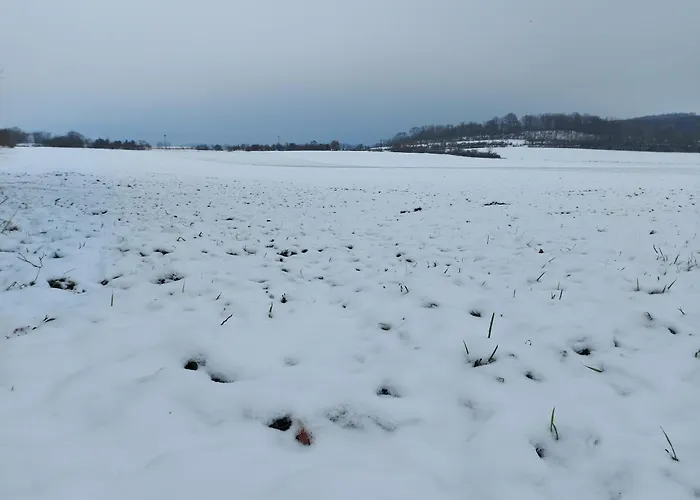 'fruehauf' Im Suedharz Ot * Uftrungen