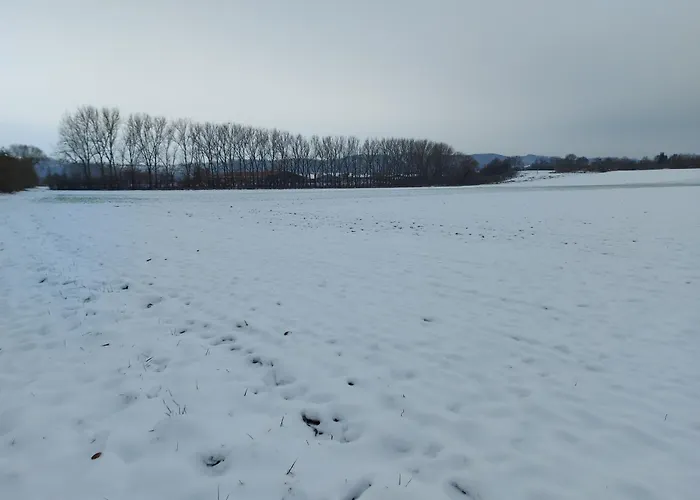 'fruehauf' Im Suedharz Ot * Uftrungen