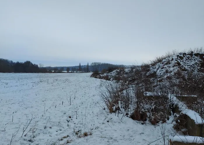 'fruehauf' Im Suedharz Ot شقة Uftrungen