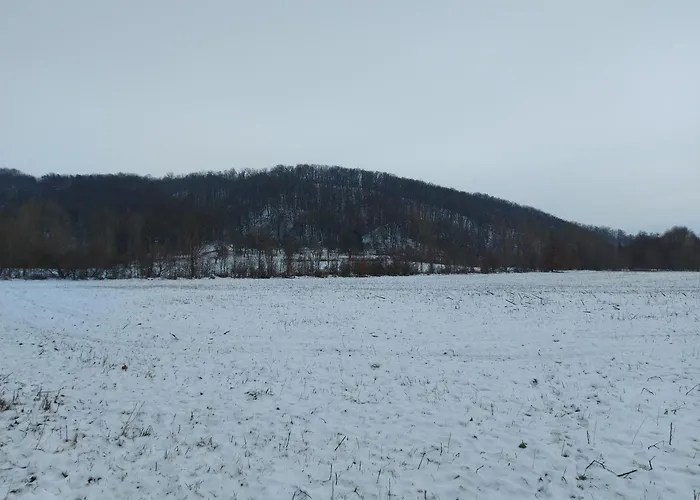 'fruehauf' Im Suedharz Ot