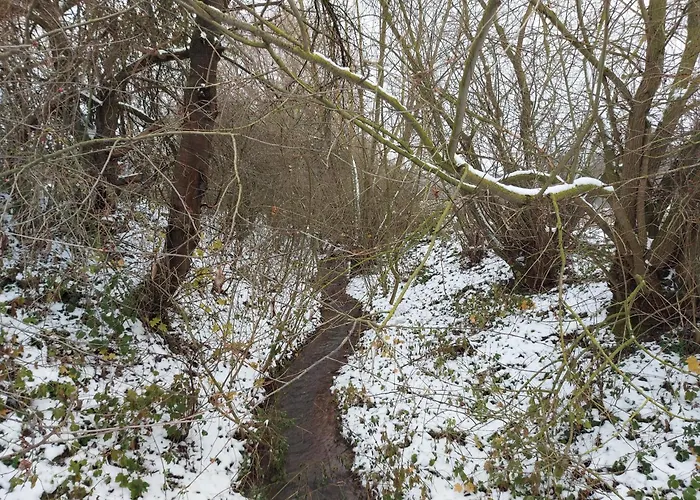 'fruehauf' Im Suedharz Ot Uftrungen