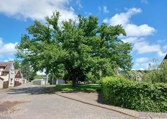 شقة 'fruehauf' Im Suedharz Ot Uftrungen