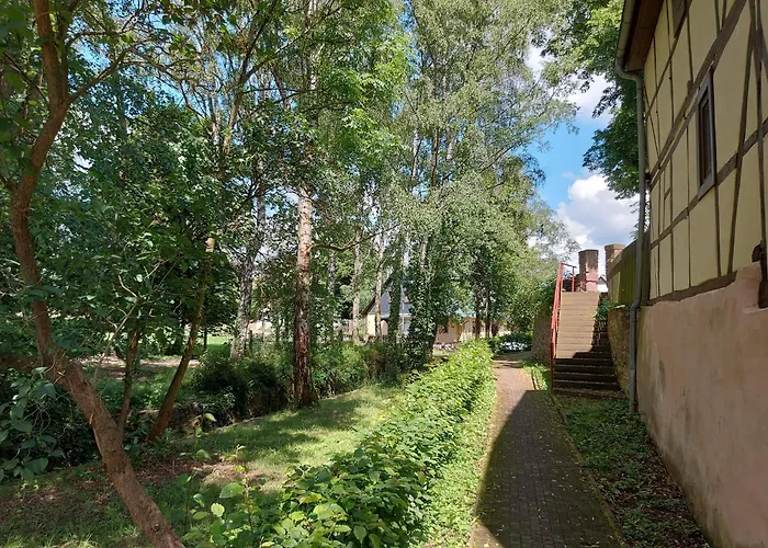 'fruehauf' Im Suedharz Ot Uftrungen