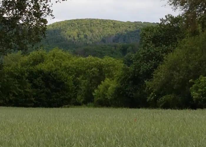 شقة 'fruehauf' Im Suedharz Ot Uftrungen