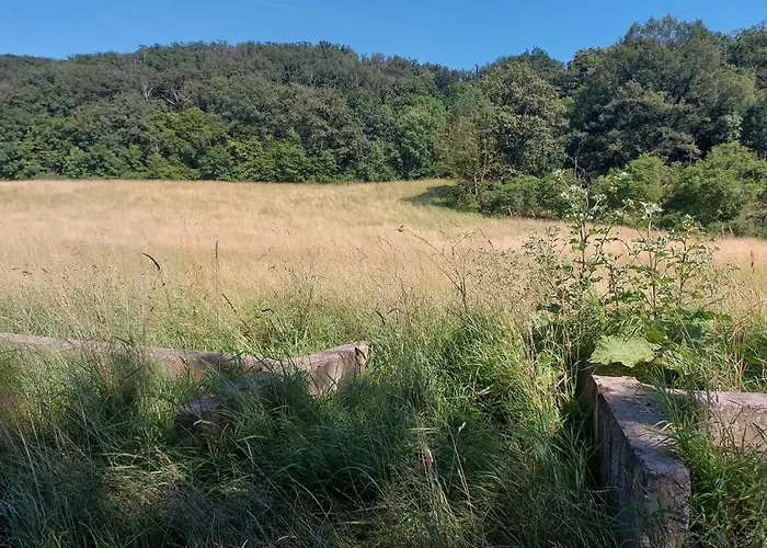 شقة 'fruehauf' Im Suedharz Ot