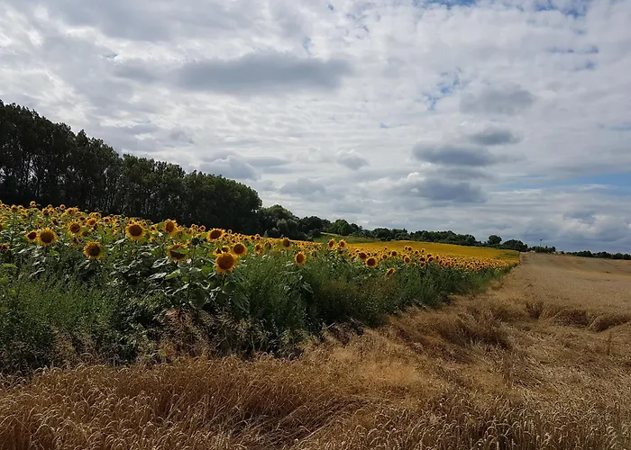 'fruehauf' Im Suedharz Ot * Uftrungen