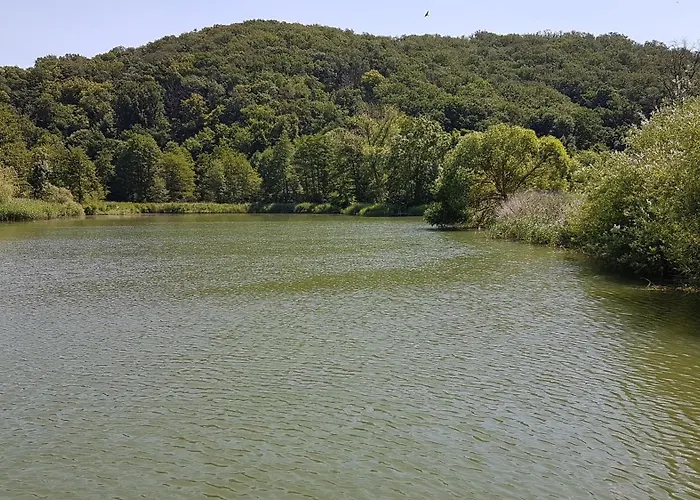 شقة 'fruehauf' Im Suedharz Ot