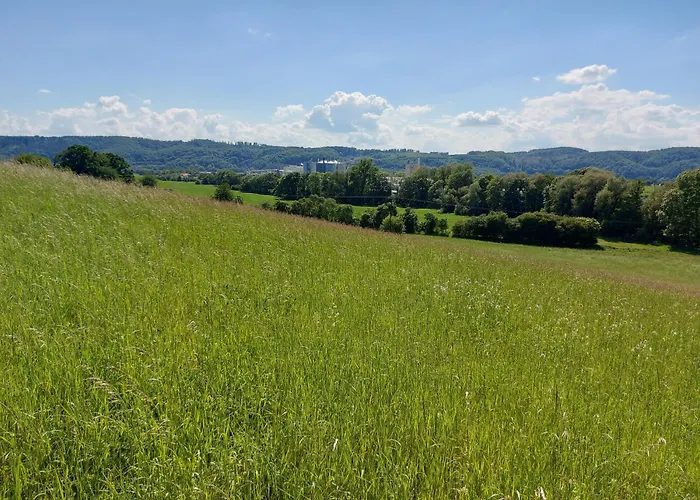 'fruehauf' Im Suedharz Ot Uftrungen