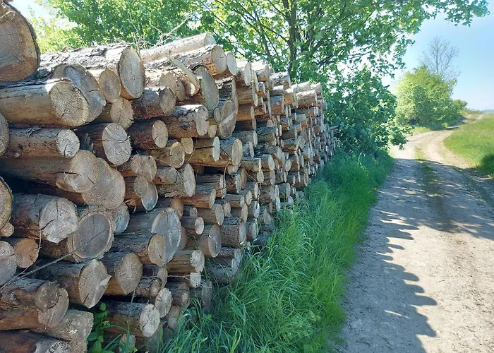 'fruehauf' Im Suedharz Ot * Uftrungen
