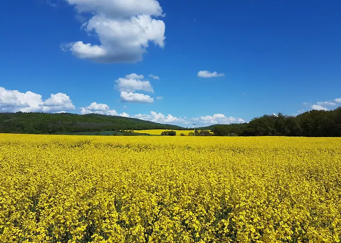 'fruehauf' Im Suedharz Ot شقة *