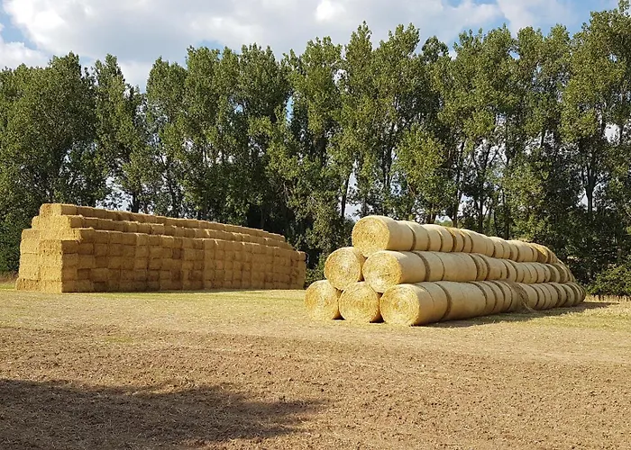 شقة 'fruehauf' Im Suedharz Ot *
