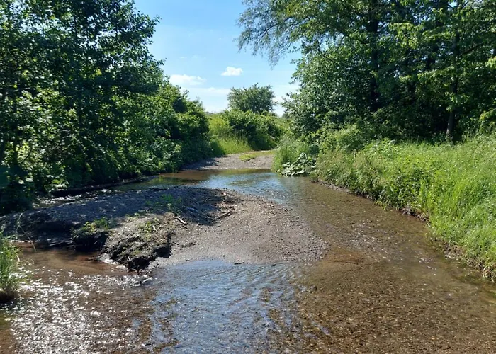 'fruehauf' Im Suedharz Ot Uftrungen