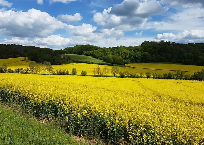 'fruehauf' Im Suedharz Ot Uftrungen